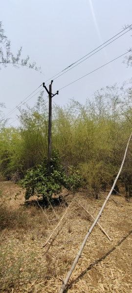  Agricultural Land 8 Acre for Sale in Itarsi, Hoshangabad