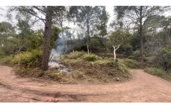  Residential Plot for Sale in Morni Hills, Panchkula