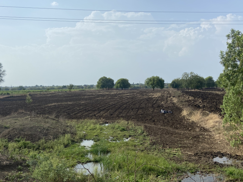  Agricultural Land 13 Acre for Sale in Barshi, Solapur