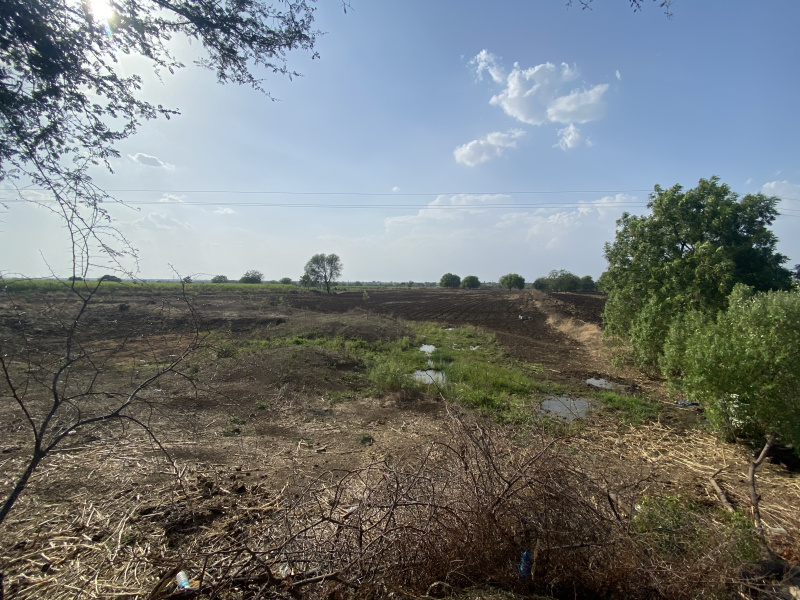  Agricultural Land 13 Acre for Sale in Barshi, Solapur