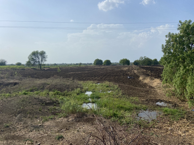  Agricultural Land 13 Acre for Sale in Barshi, Solapur