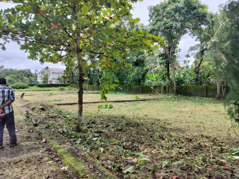  Residential Plot for Sale in Angamaly, Ernakulam