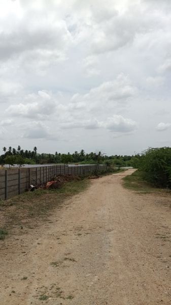  Residential Plot 1200 Sq.ft. for Sale in Trichy Highways, Tiruchirappalli
