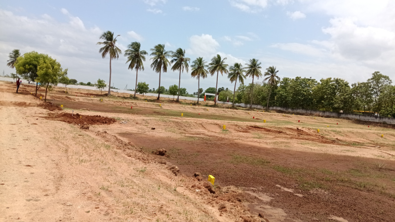  Residential Plot 1200 Sq.ft. for Sale in Trichy Highways, Tiruchirappalli