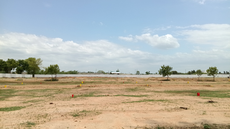  Residential Plot 1200 Sq.ft. for Sale in Trichy Highways, Tiruchirappalli