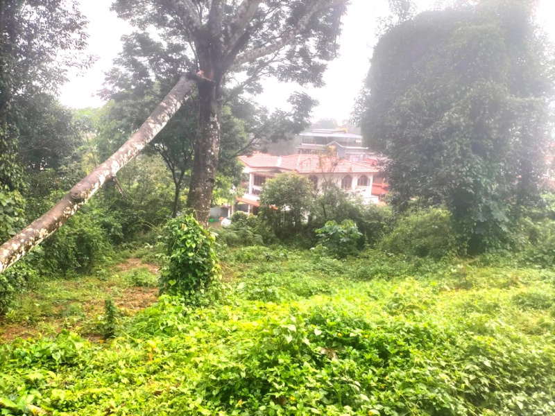  Residential Plot 8 Cent for Sale in Virajpet, Kodagu