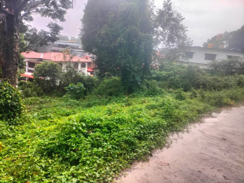  Residential Plot 8 Cent for Sale in Virajpet, Kodagu