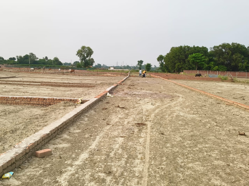  Residential Plot 600 Sq.ft. for Sale in Raebareli Road, Raibareli Road, Lucknow