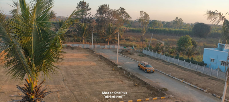  1200 Sq.ft. Residential Plot for Sale in Anekal, Bangalore