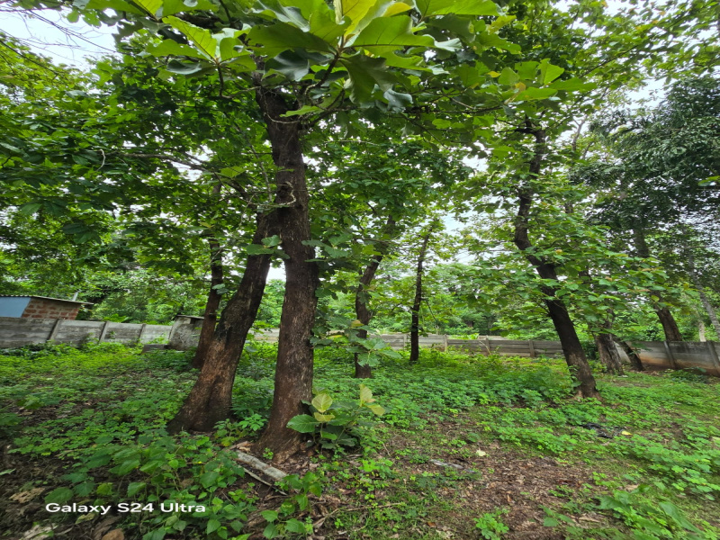 1 RK Farm House 72000 Sq.ft. for Sale in Basavanagudi, Shimoga