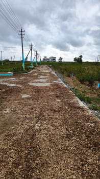  Residential Plot for Sale in Hosdurga, Chitradurga