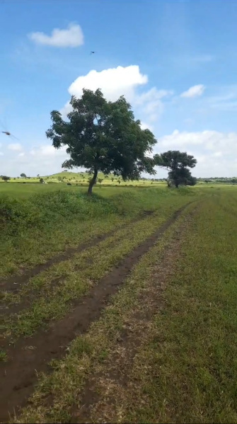  Agricultural Land 5 Acre for Rent in Chevella Mandla, Hyderabad