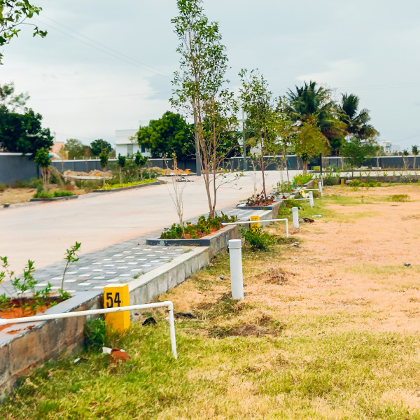  Residential Plot 1200 Sq.ft. for Sale in Panjapur, Tiruchirappalli