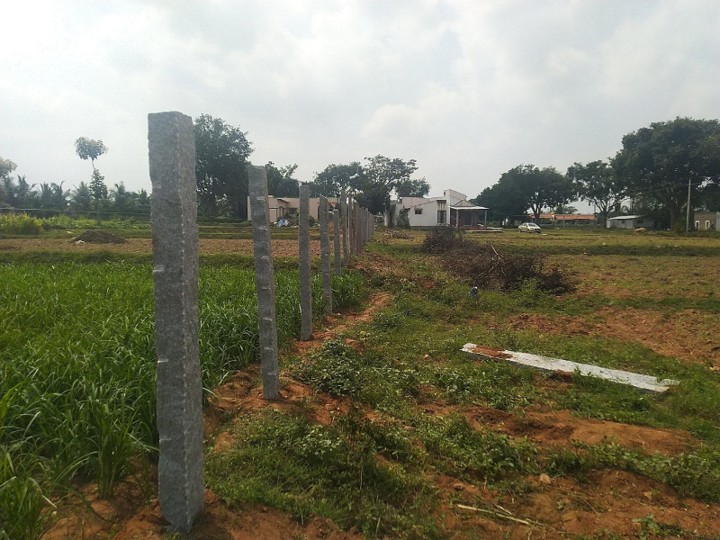  Residential Plot 10 Guntha for Sale in Nagamangala, Mandya