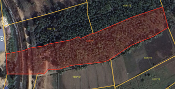  Agricultural Land for Sale in Nidige, Shimoga
