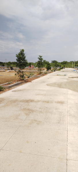 Residential Plot 1200 Sq.ft. for Sale in Panjapur, Tiruchirappalli
