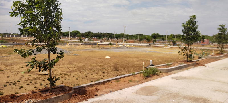  Residential Plot 1200 Sq.ft. for Sale in Panjapur, Tiruchirappalli