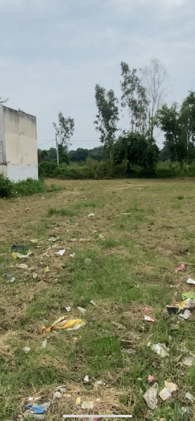  Commercial Land 1490 Sq. Yards for Sale in Garhmukteshwar, Hapur