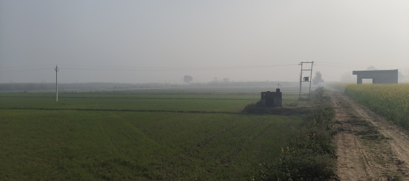  58 Bigha Agricultural/Farm Land for Sale in Mawana, Meerut