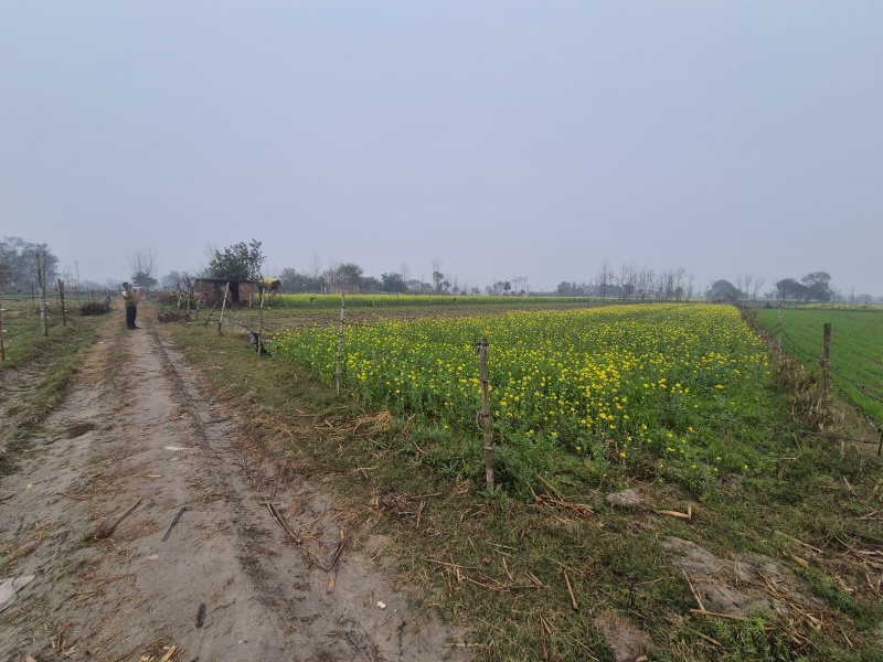 2 BHK 2 Bigha Farm House for Sale in Garhmukteshwar, Hapur