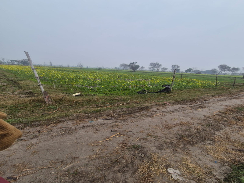 2 BHK 2 Bigha Farm House for Sale in Garhmukteshwar, Hapur