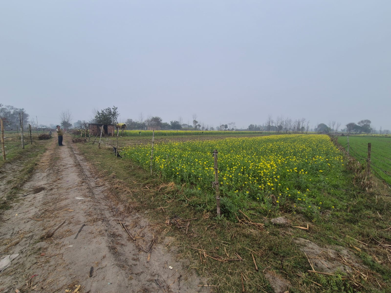 2 BHK 2 Bigha Farm House for Sale in Garhmukteshwar, Hapur