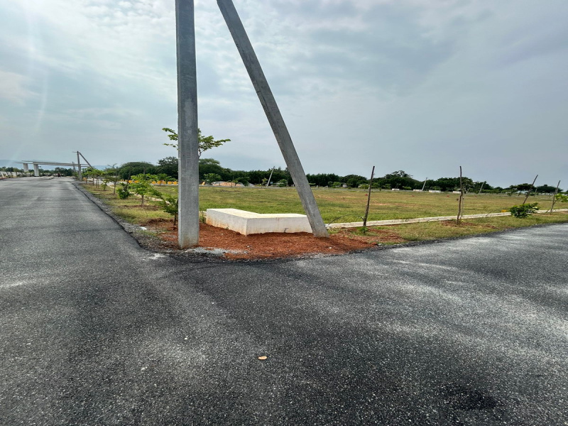  Residential Plot 1290 Sq.ft. for Sale in Avilala, Tirupati