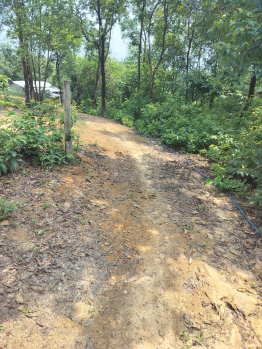  Residential Plot for Sale in Barkhola, Silchar
