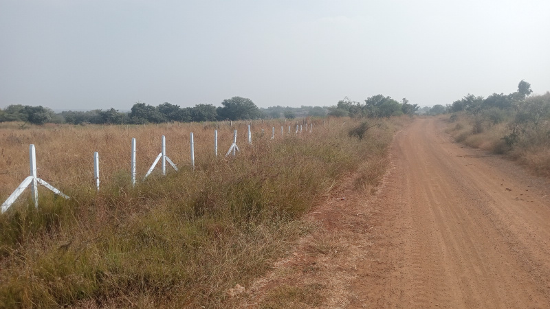  2 Acre Agricultural/Farm Land for Sale in Sadasivpet, Sangareddy