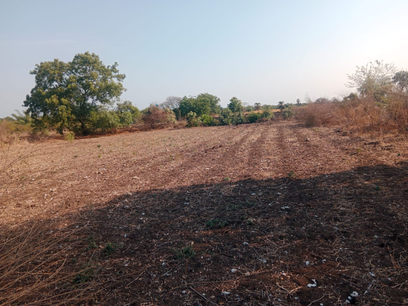  1 Acre Agricultural/Farm Land for Sale in Mominpet Mandal, Vikarabad