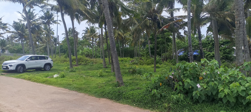  Commercial Land 40 Cent for Sale in Varkala, Thiruvananthapuram