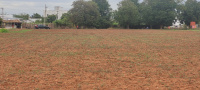  Commercial Land for Rent in Kannampalayam, Coimbatore