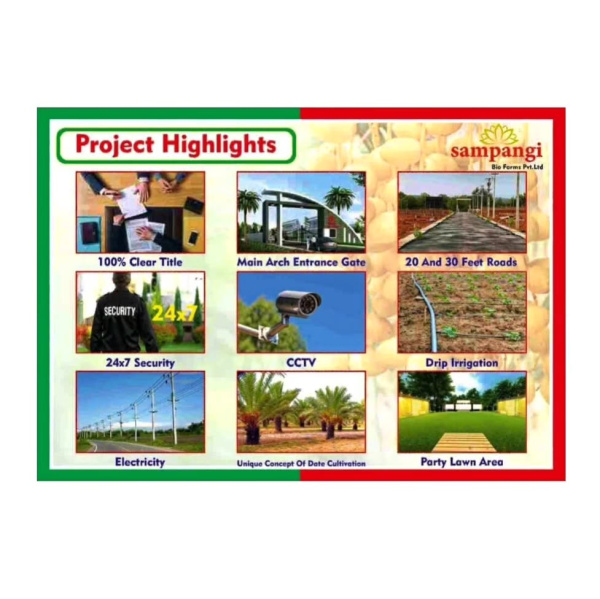  Agricultural Land 605 Sq.ft. for Rent in Narayankhed, Sangareddy