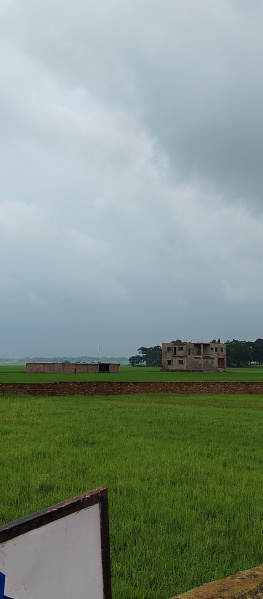  Residential Plot 1302 Sq.ft. for Sale in Murma, Ranchi
