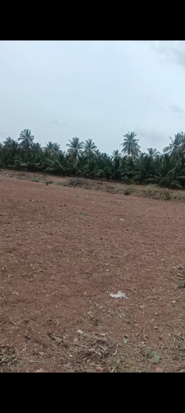  Agricultural Land 58 Cent for Sale in Sulur, Coimbatore