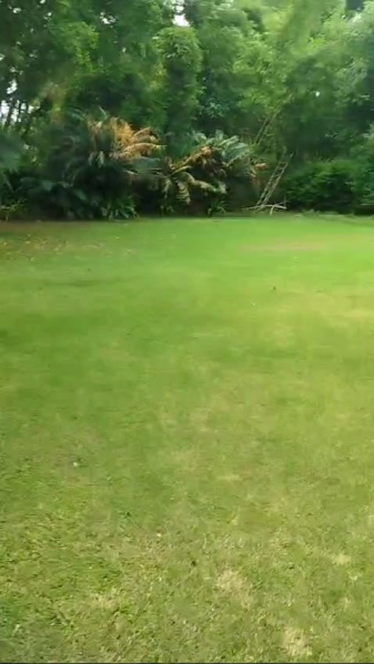  3 Acre Residential Plot for Sale in Gwal Pahari, Gurgaon