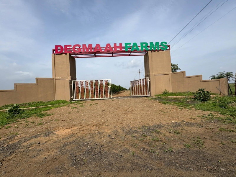  Agricultural Land 3000 Sq.ft. for Sale in Hingna, Nagpur