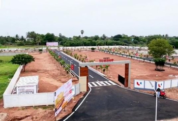  Residential Plot for Sale in Fathima Nagar, Tiruchirappalli