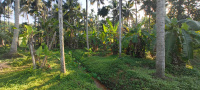 Commercial Land for Sale in Kattakada, Thiruvananthapuram