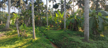 Commercial Land for Sale in Kattakada, Thiruvananthapuram