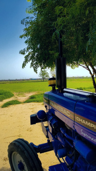  Agricultural Land for Sale in Bawani Khera, Bhiwani