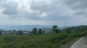  Residential Plot for Sale in Dharampur, Dehradun