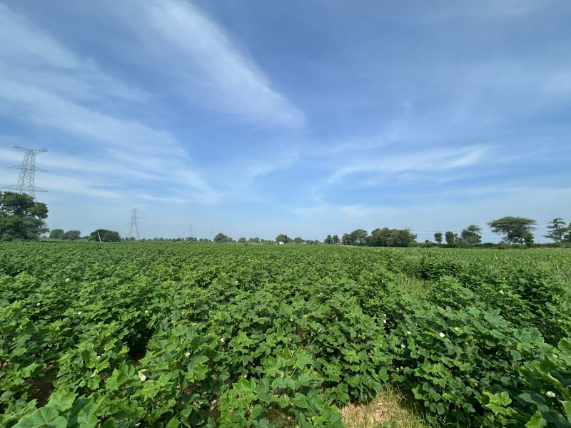  Agricultural Land 9680 Sq. Yards for Sale in Delhi Road, Rewari