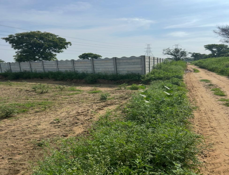 Agricultural Land 9680 Sq. Yards for Sale in Delhi Road, Rewari