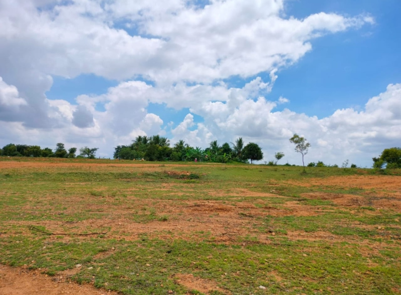  Agricultural Land 2 Acre for Sale in Annur, Coimbatore