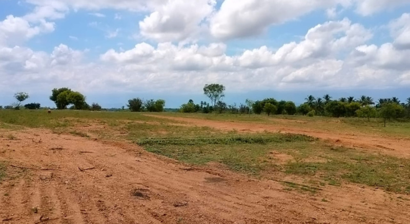  Agricultural Land 2 Acre for Sale in Annur, Coimbatore