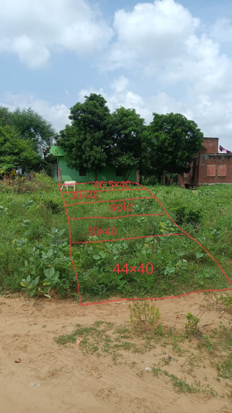  Residential Plot 1200 Sq.ft. for Sale in Sapotra, Karauli