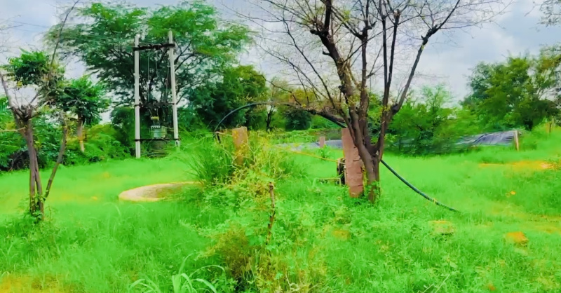 Agricultural Land 20 Bigha for Sale in Parbatsar, Nagaur
