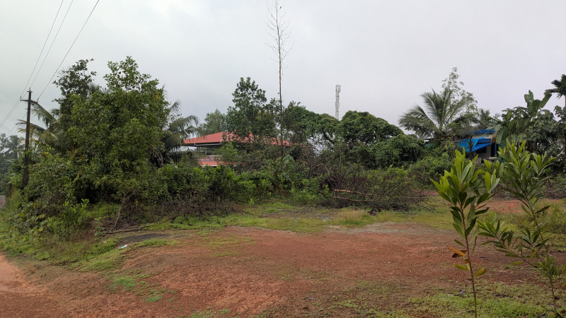  Agricultural Land 15 Sq.ft. for Sale in Bantwal, Dakshin Kannad