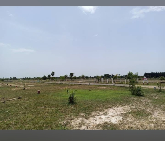 800 Sq.ft. Residential Plot for Sale in Tindivanam, Villupuram